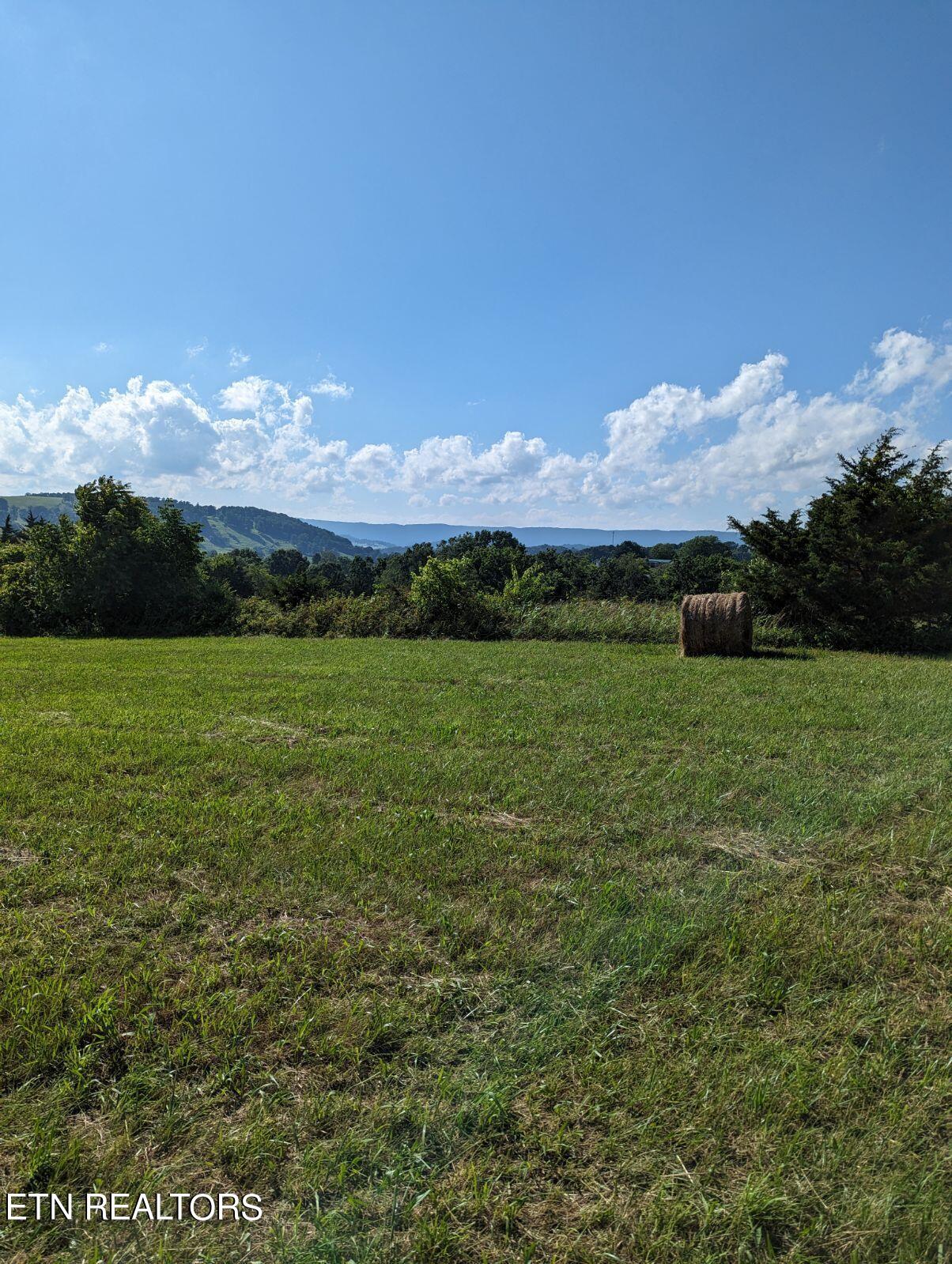 4109 Highway 92 Rutledge, TN 37861 - Photo 14 of 41 1000000454