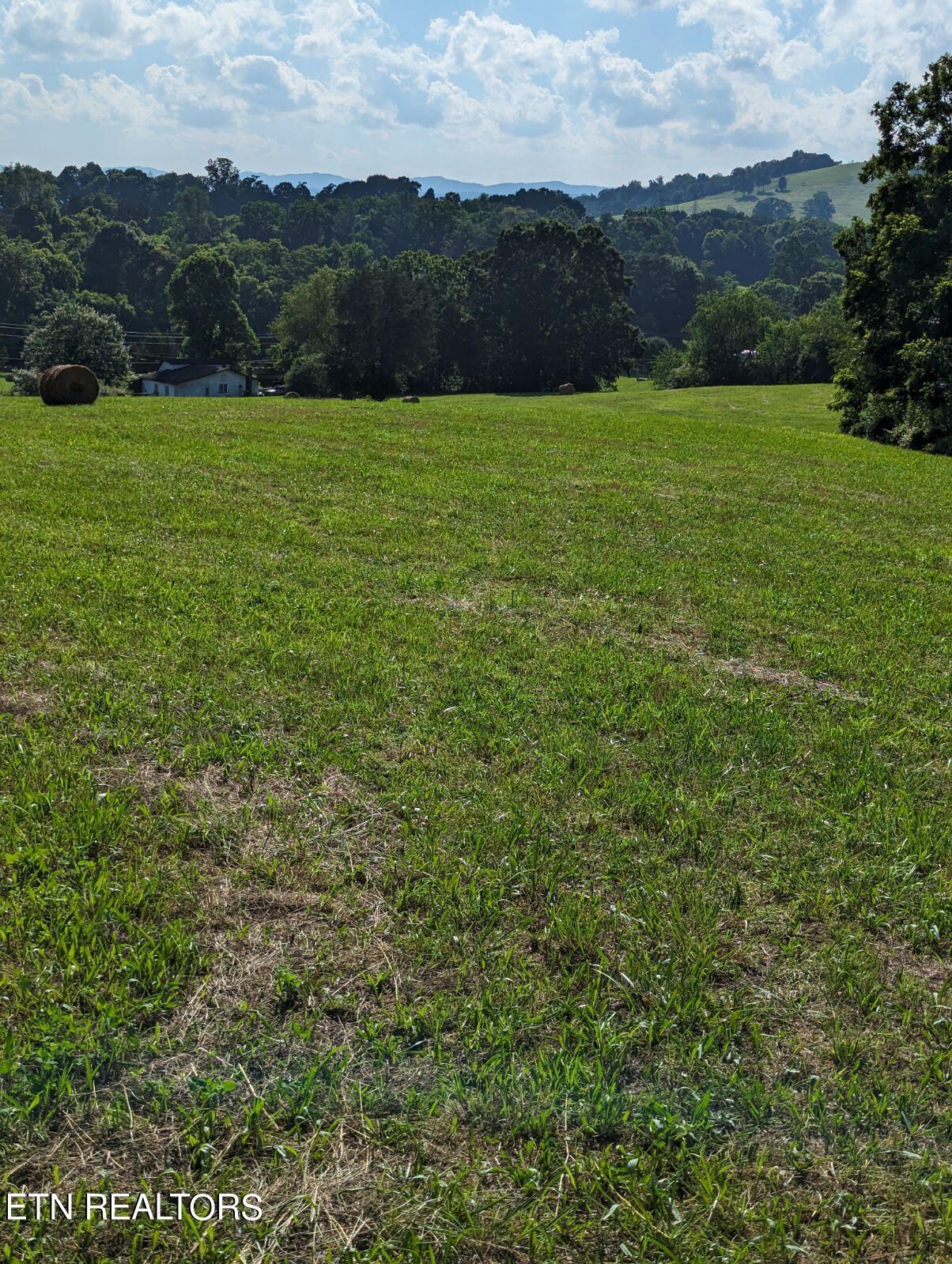 4109 Highway 92 Rutledge, TN 37861 - Photo 15 of 41 1000000453