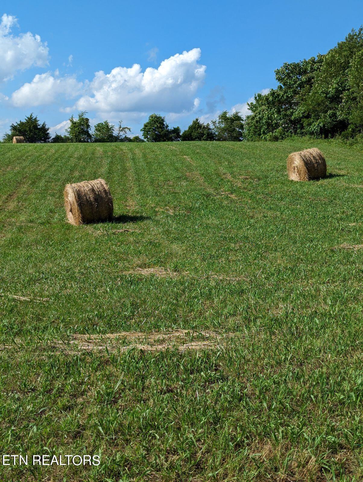 4109 Highway 92 Rutledge, TN 37861 - Photo 16 of 41 1000000452