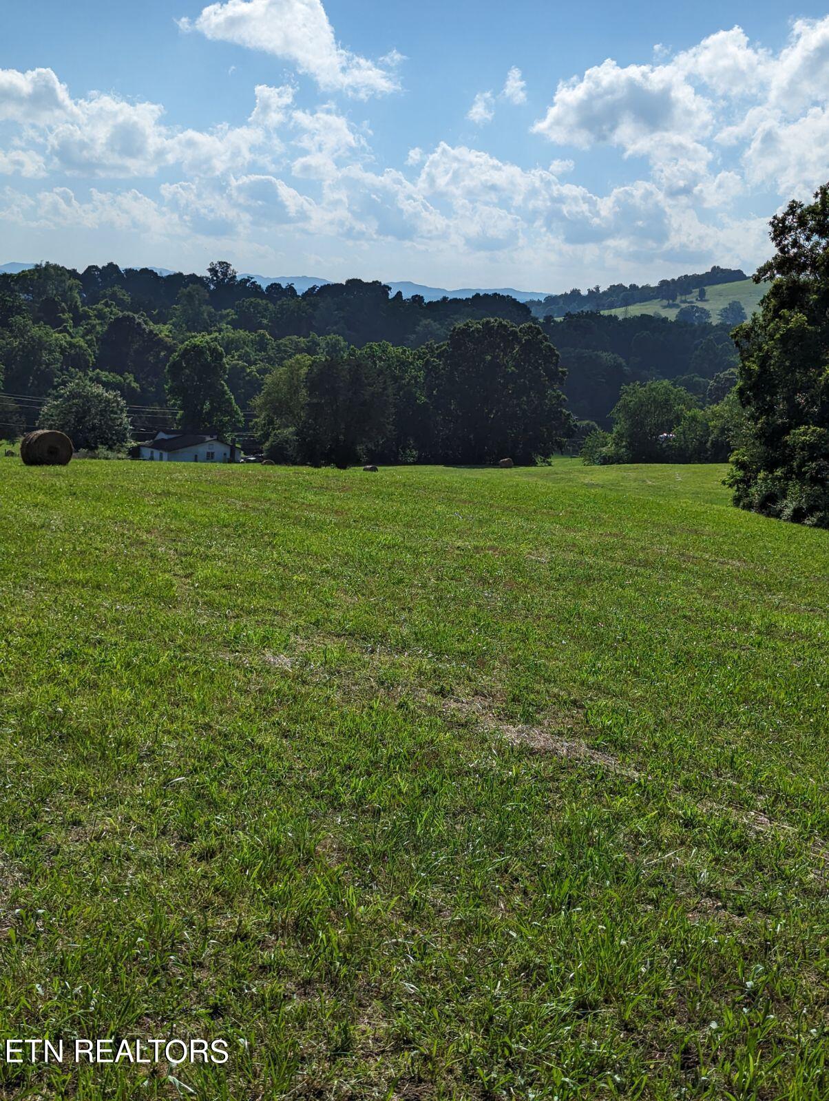 4109 Highway 92 Rutledge, TN 37861 - Photo 17 of 41 1000000451