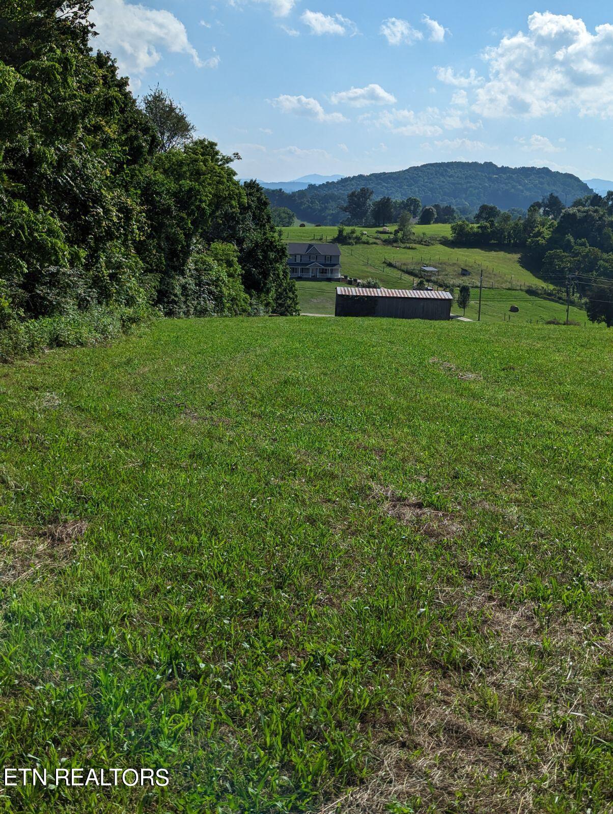 4109 Highway 92 Rutledge, TN 37861 - Photo 18 of 41 1000000450