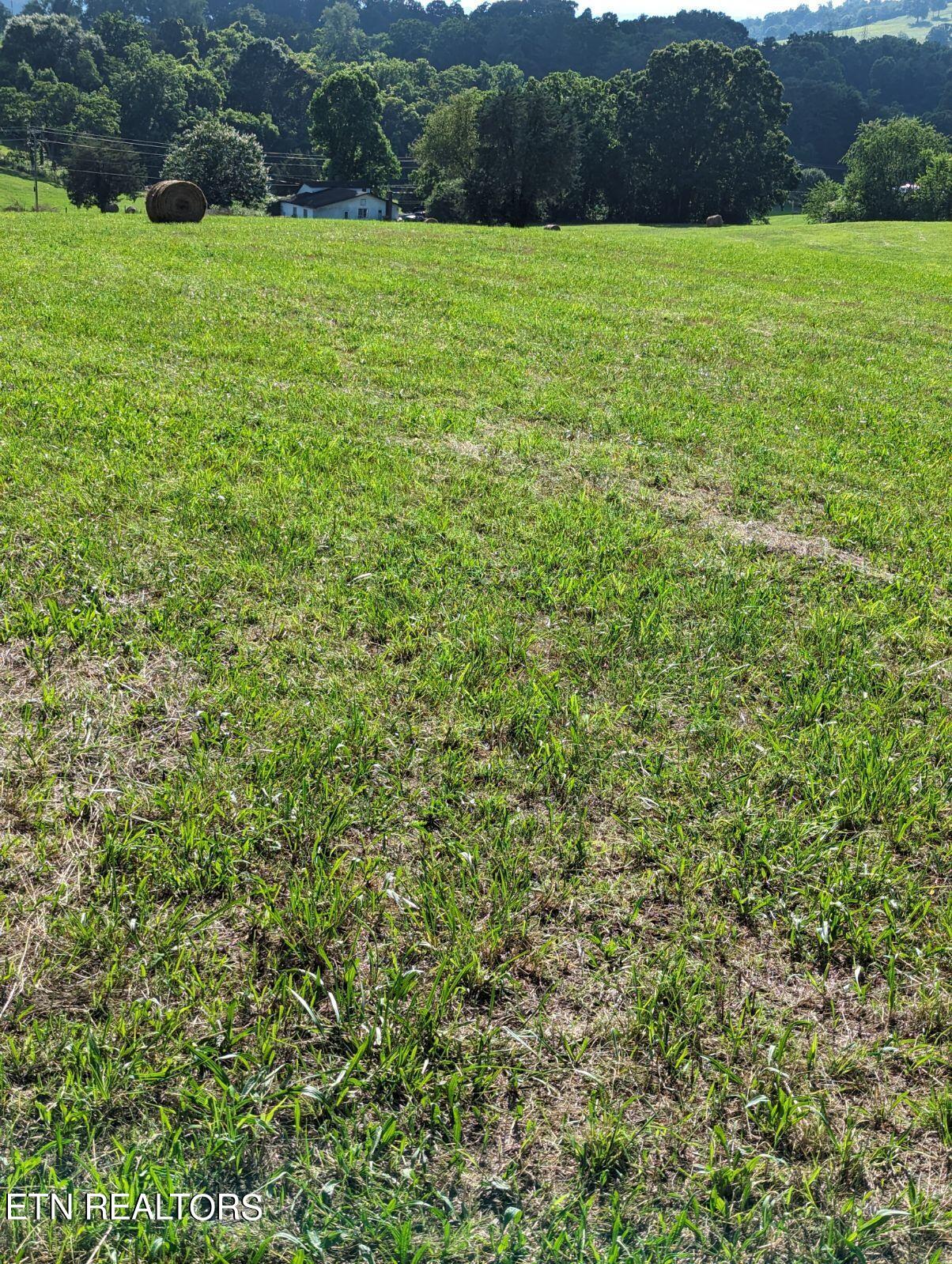 4109 Highway 92 Rutledge, TN 37861 - Photo 19 of 41 1000000449