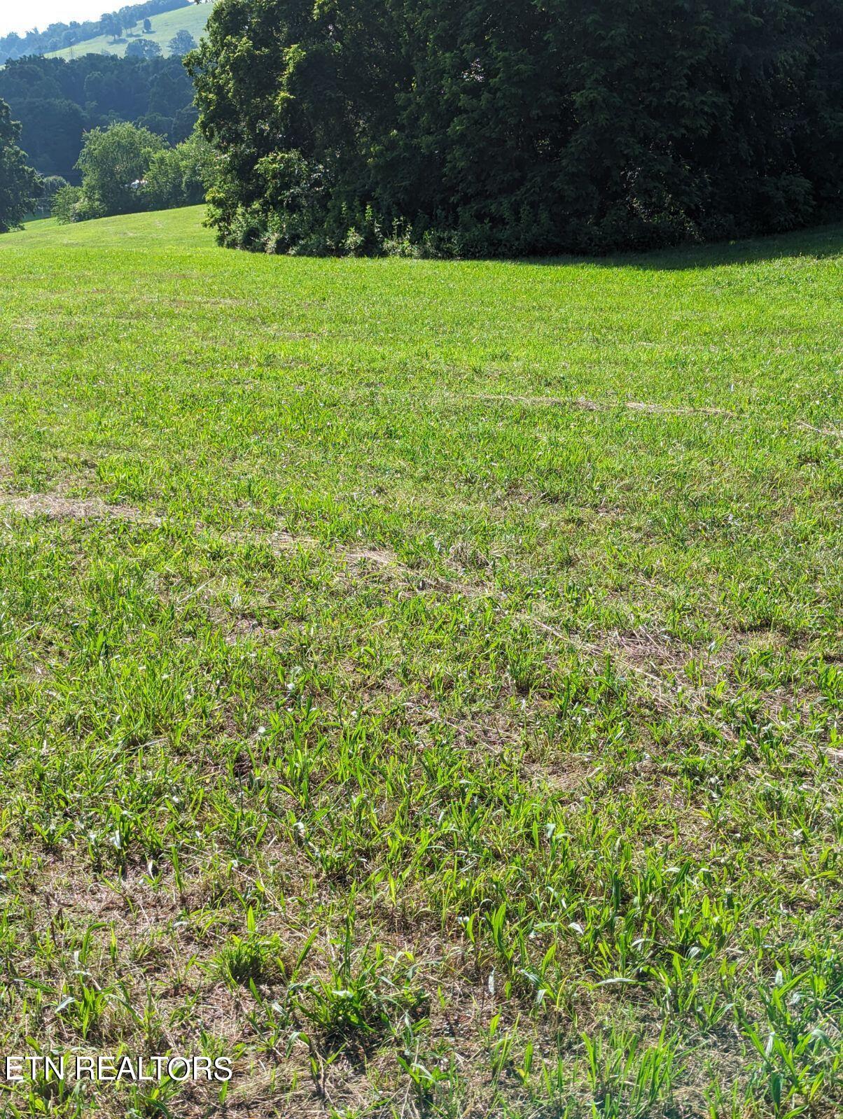 4109 Highway 92 Rutledge, TN 37861 - Photo 20 of 41 1000000448