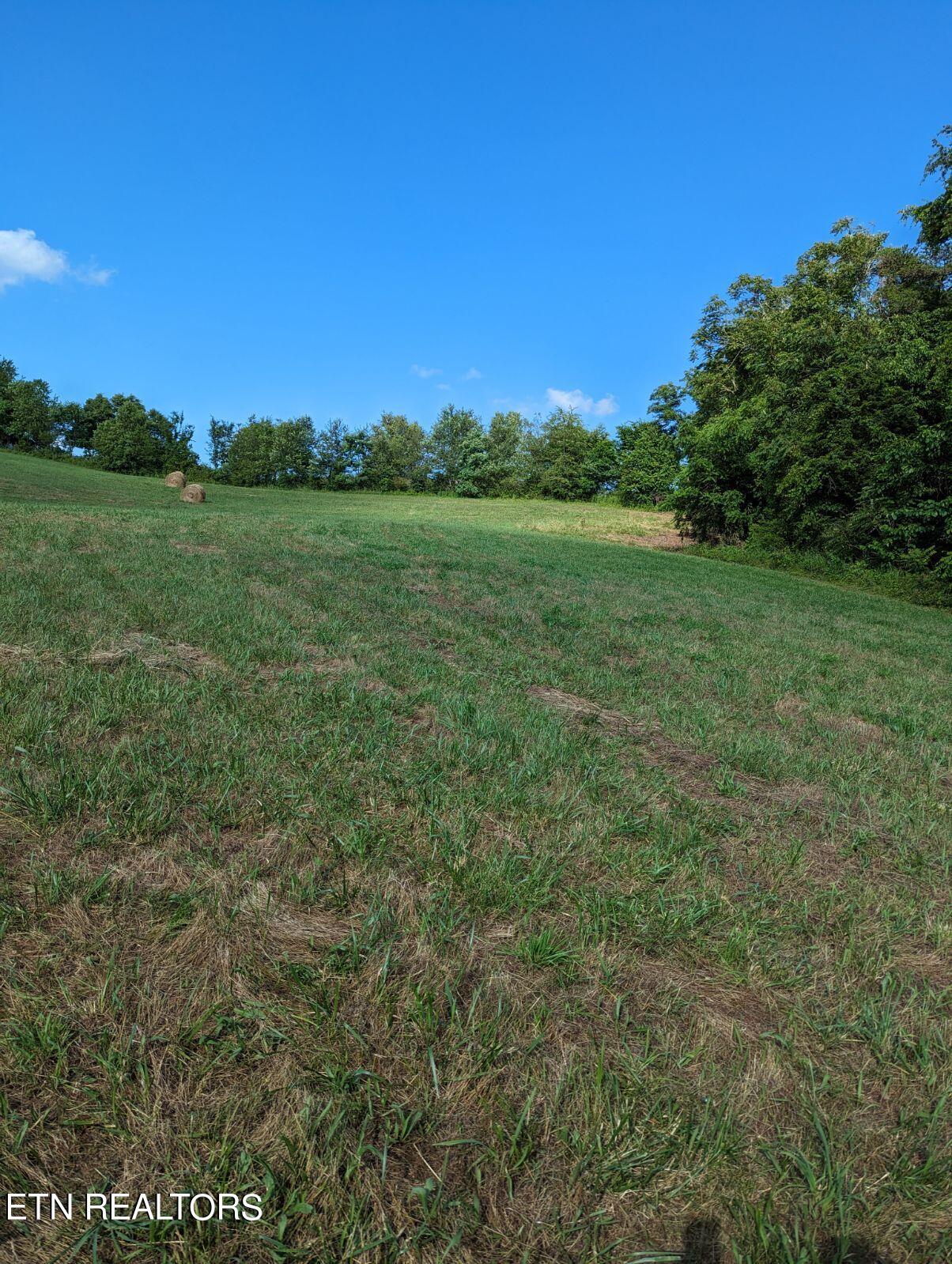 4109 Highway 92 Rutledge, TN 37861 - Photo 21 of 41 1000000447