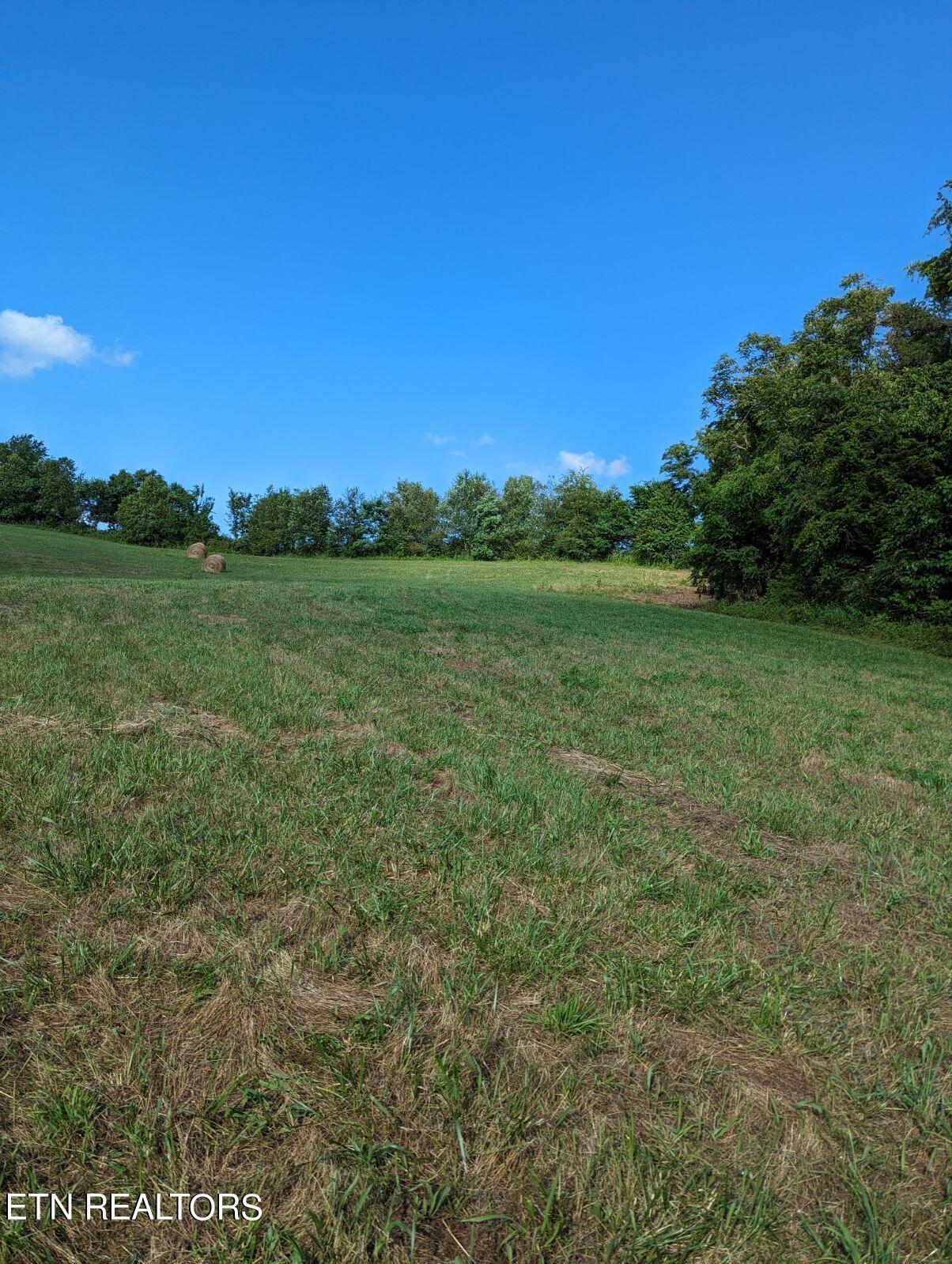 4109 Highway 92 Rutledge, TN 37861 - Photo 22 of 41 1000000446