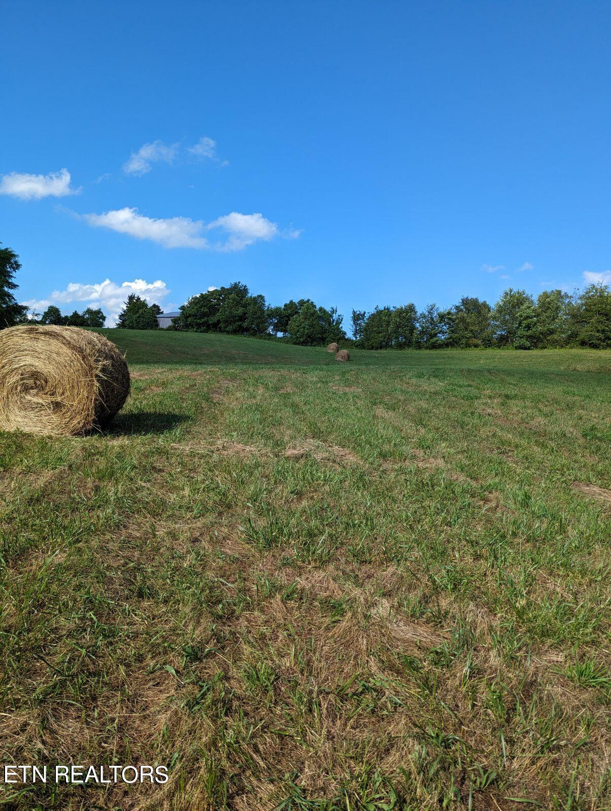 4109 Highway 92 Rutledge, TN 37861 - Photo 23 of 41 1000000445