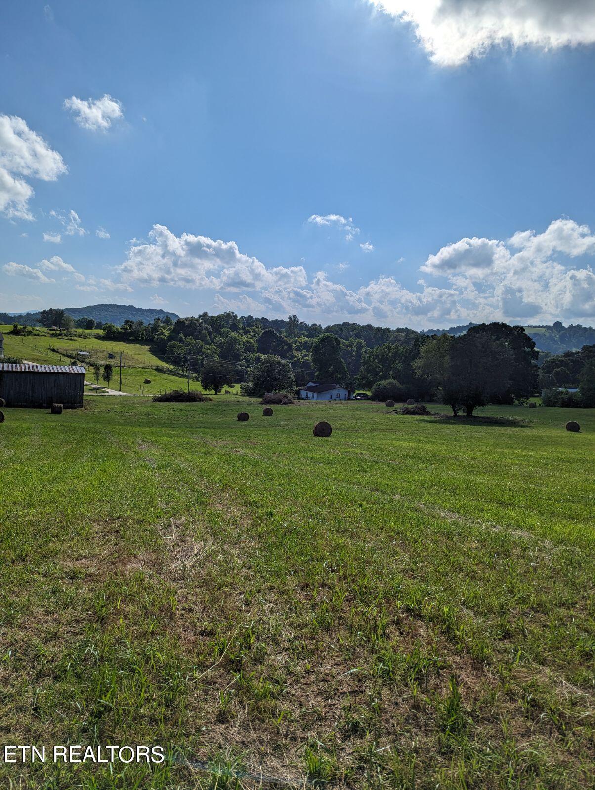 4109 Highway 92 Rutledge, TN 37861 - Photo 26 of 41 1000000442