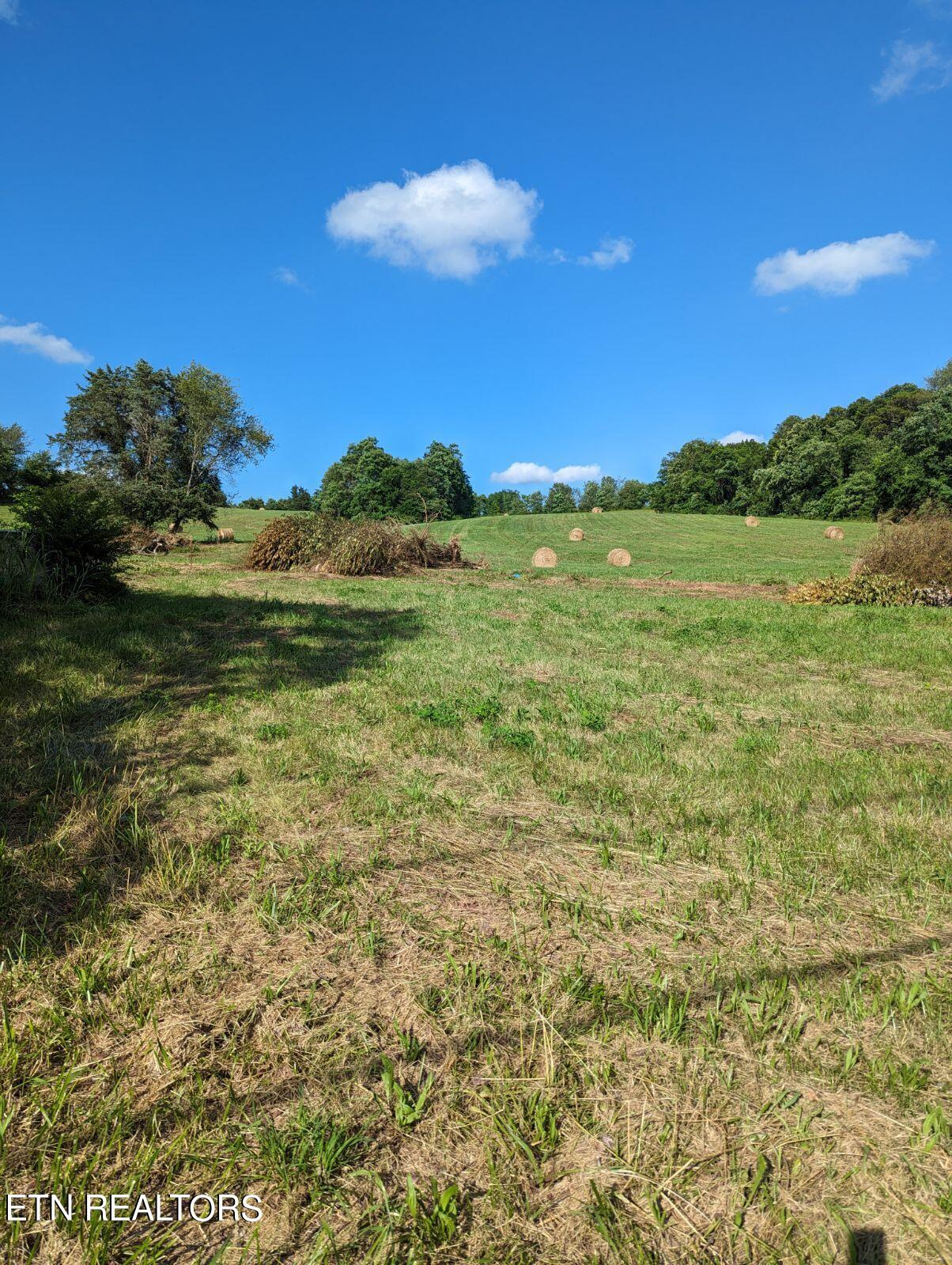 4109 Highway 92 Rutledge, TN 37861 - Photo 3 of 41 1000000432