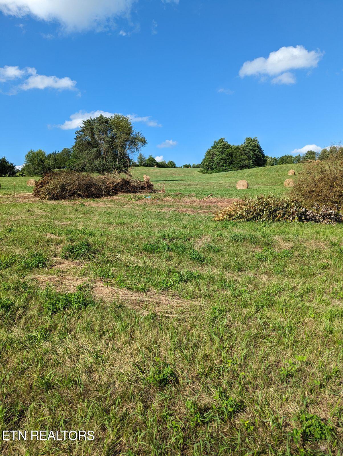 4109 Highway 92 Rutledge, TN 37861 - Photo 4 of 41 1000000429