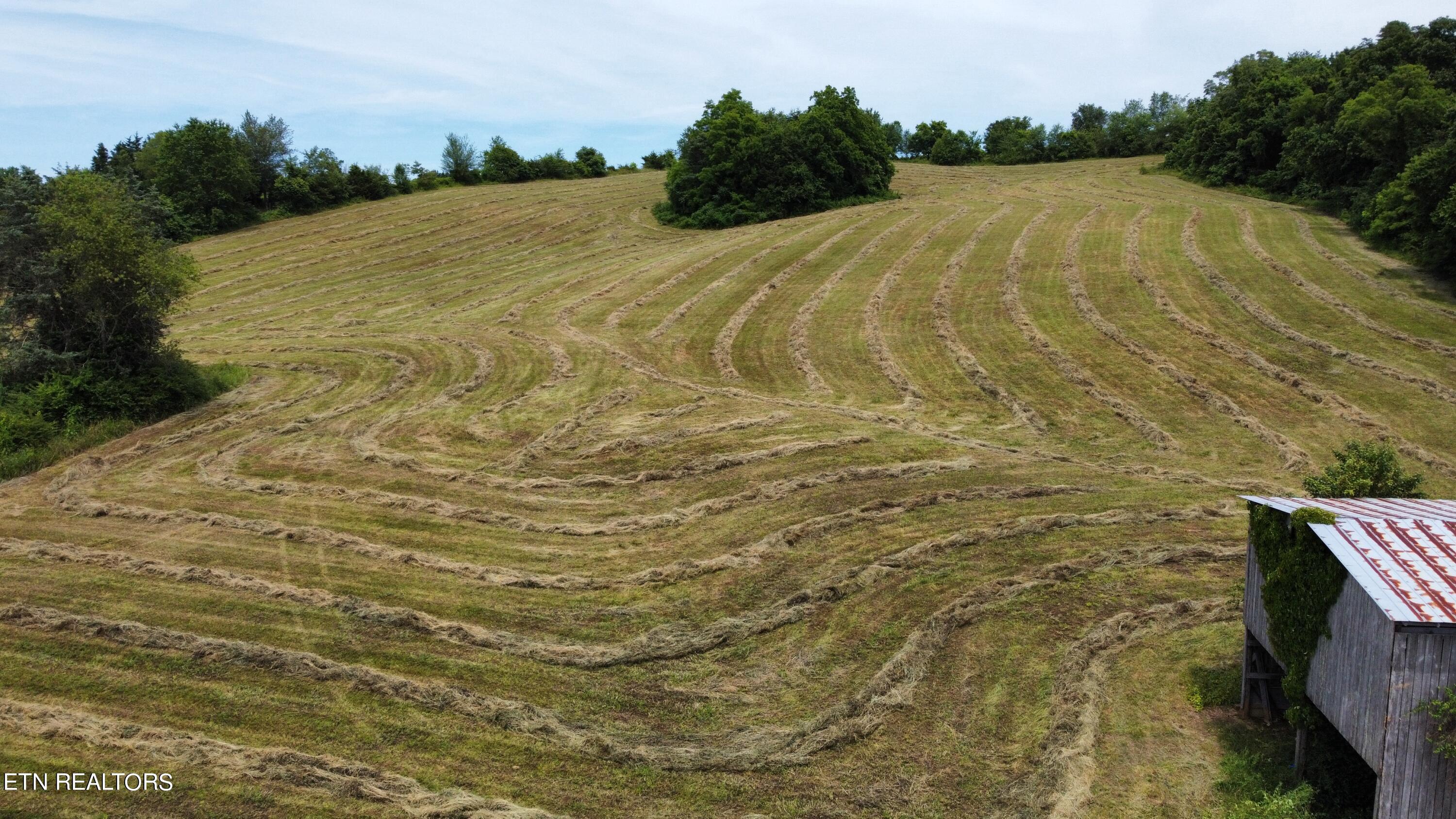 4109 Highway 92 Rutledge, TN 37861 - Photo 41 of 41 Photo May 31 2024, 2 38 22 PM