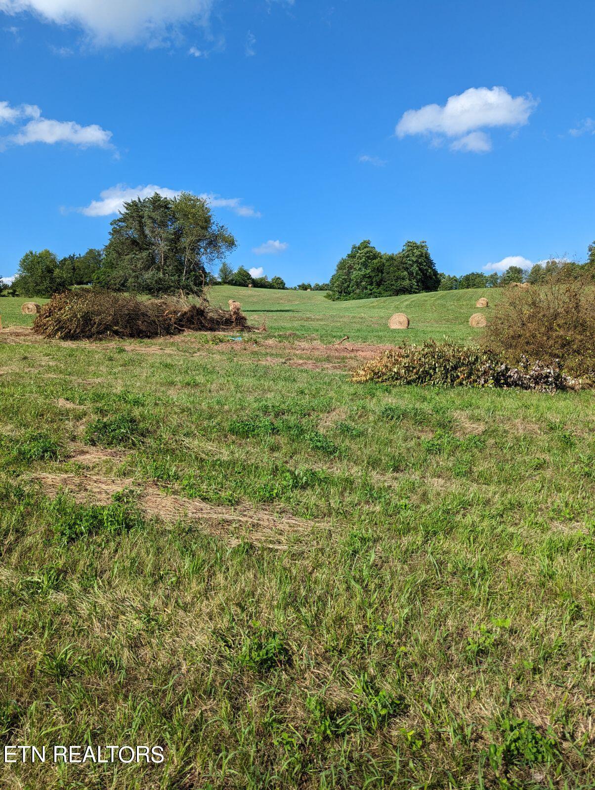 4109 Highway 92 Rutledge, TN 37861 - Photo 5 of 41 1000000430