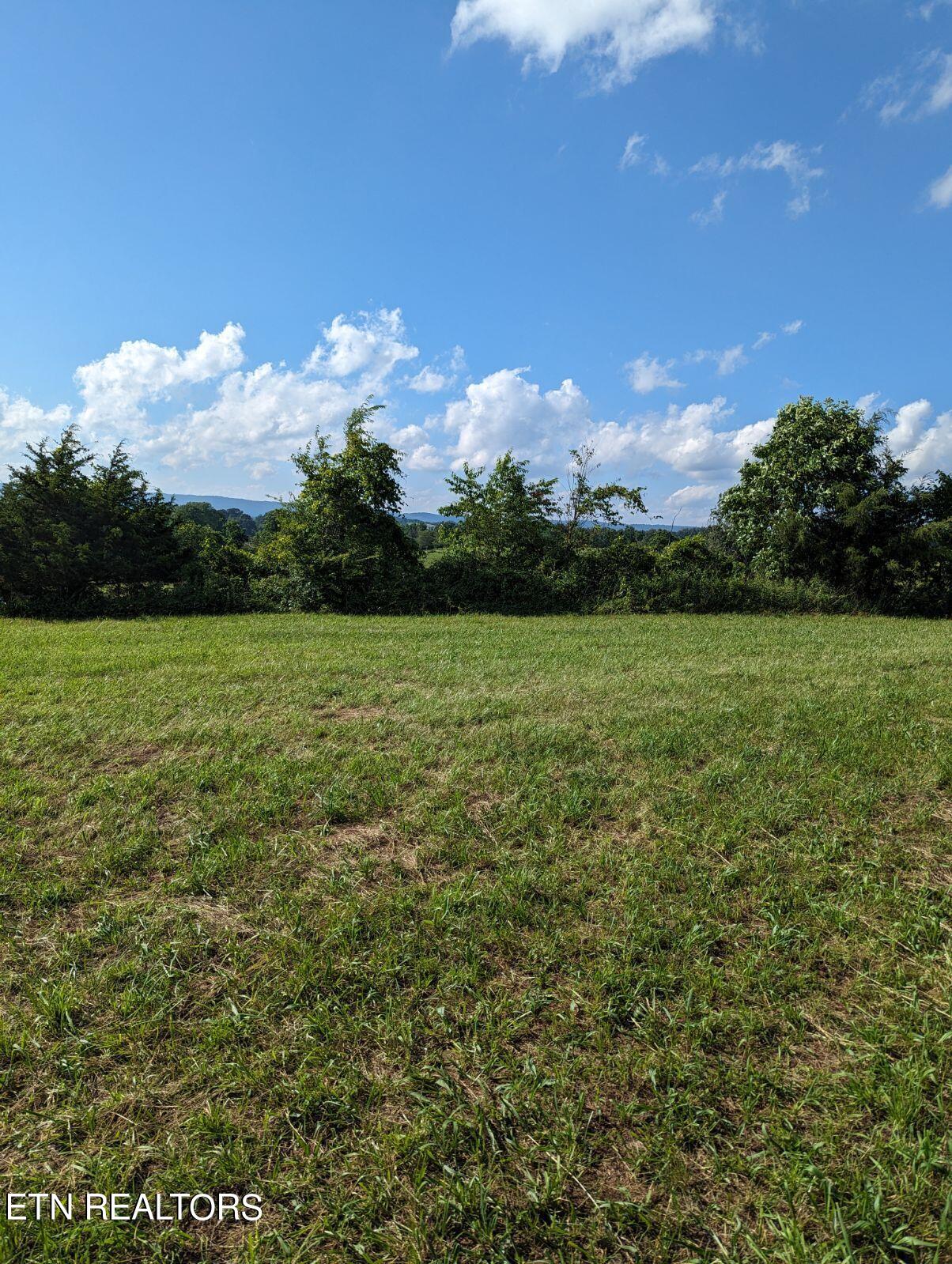 4109 Highway 92 Rutledge, TN 37861 - Photo 7 of 41 1000000459