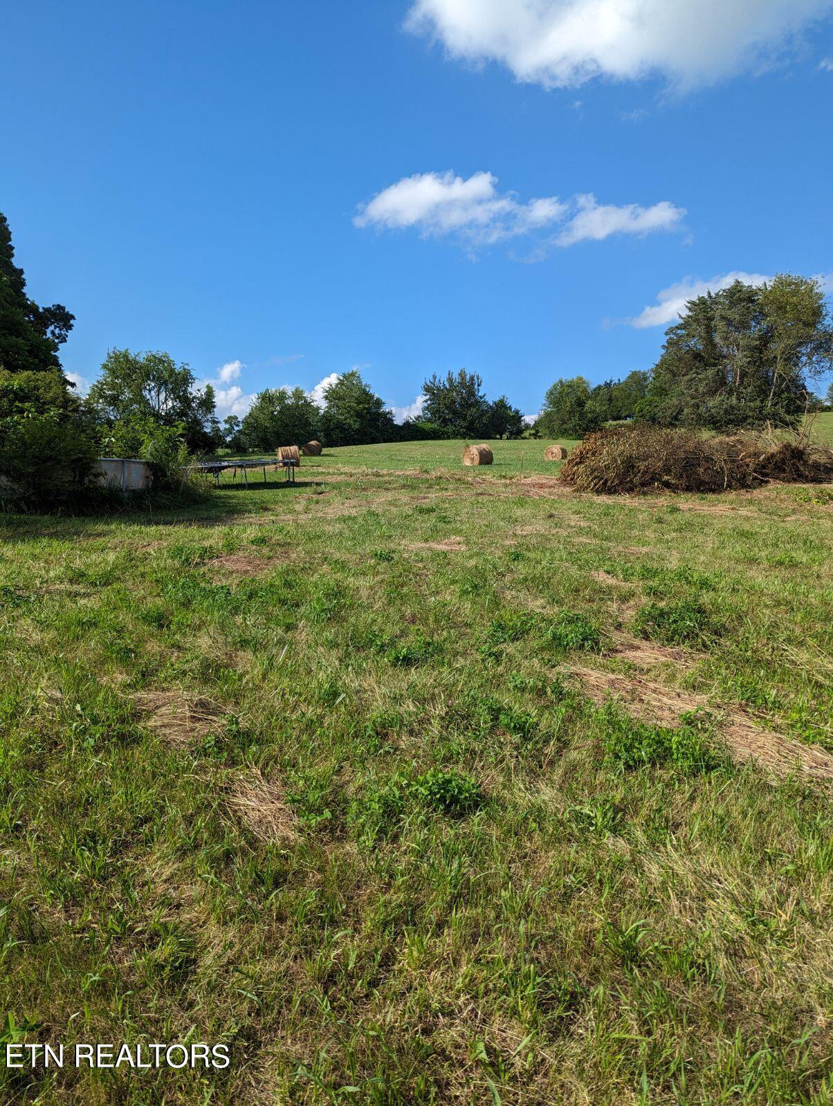 4109 Highway 92 Rutledge, TN 37861 - Photo 8 of 41 1000000428