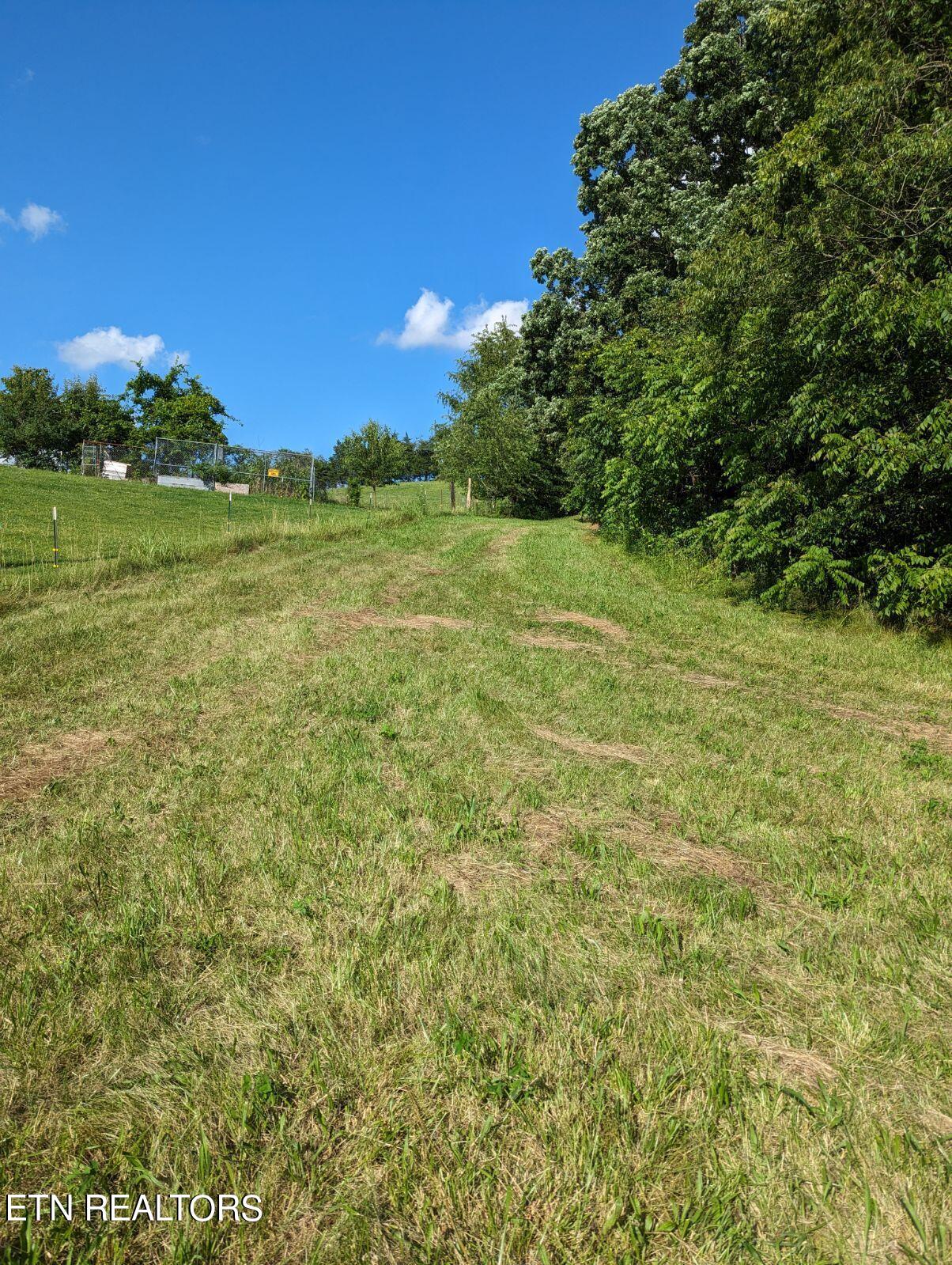 4109 Highway 92 Rutledge, TN 37861 - Photo 9 of 41 1000000461