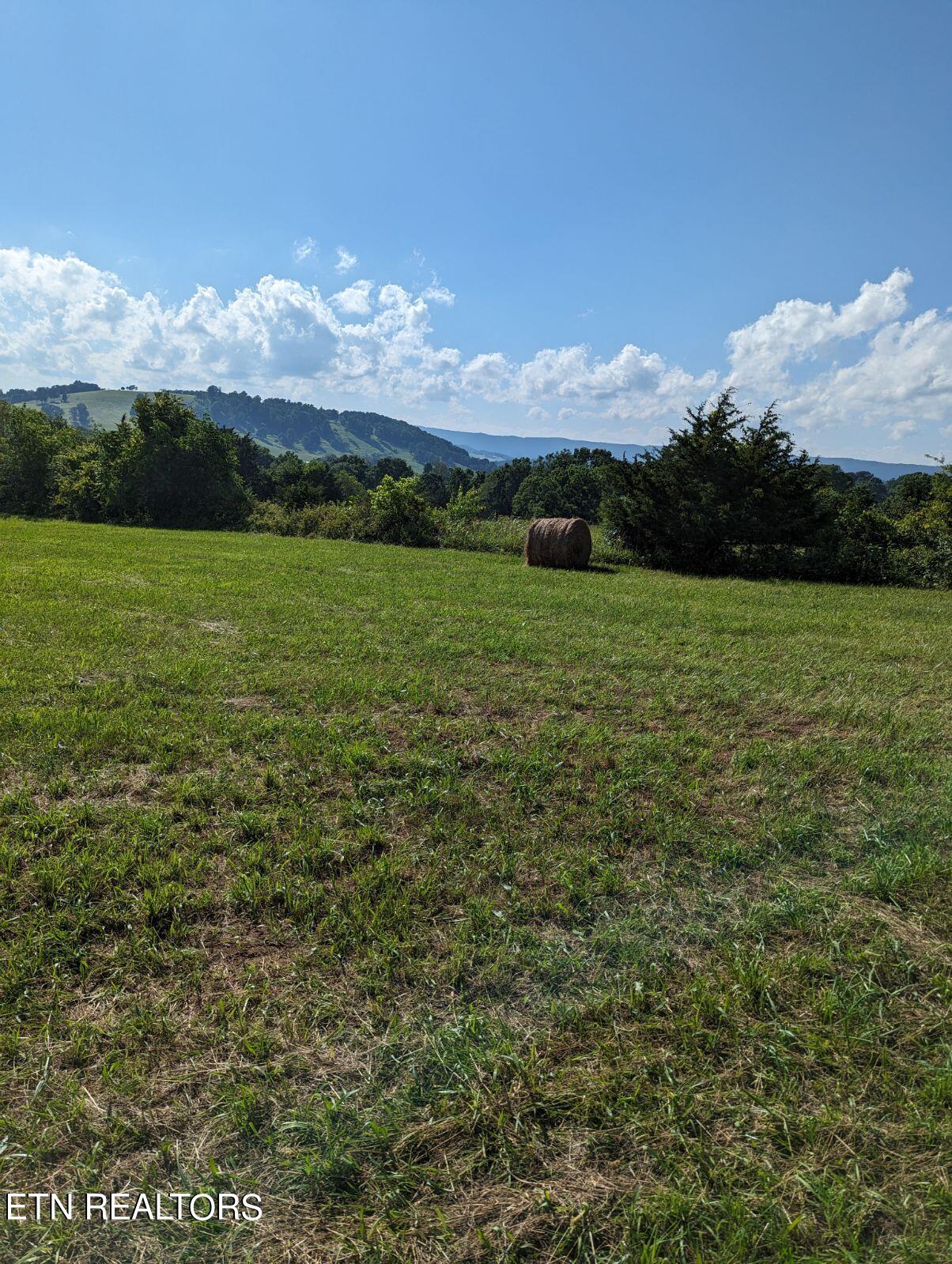 4109 Highway 92 Rutledge, TN 37861 - Photo 10 of 41 1000000458