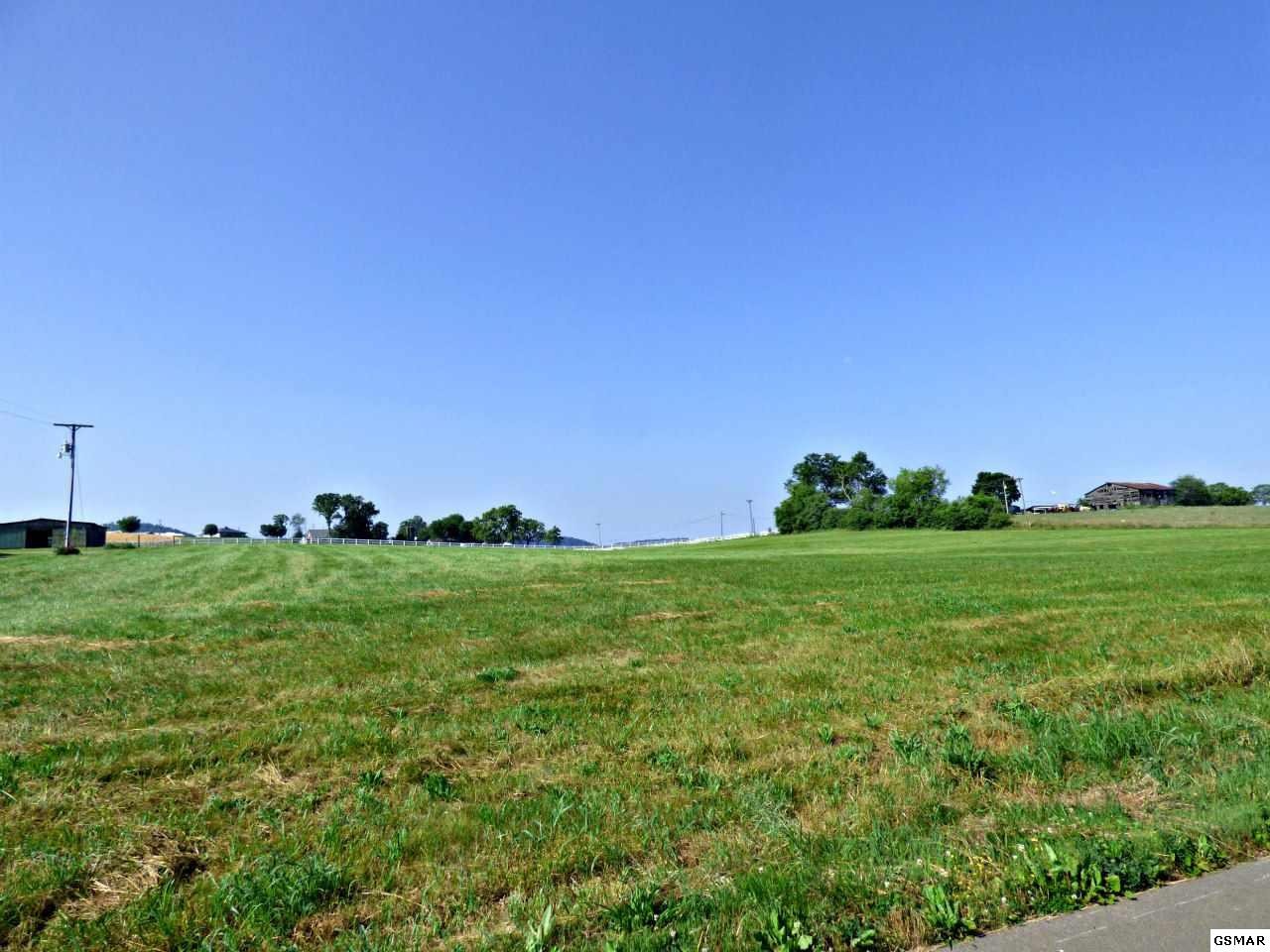 42 Mine Road New Market, TN 37820 - Photo 2 of 6 Gallery Image 2