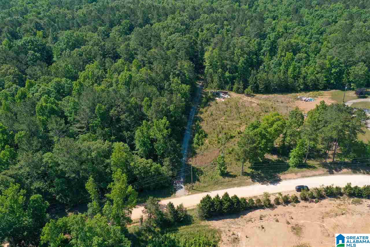 948 Old Deer Creek Road Sterrett, AL 35147 - Photo 19 of 19