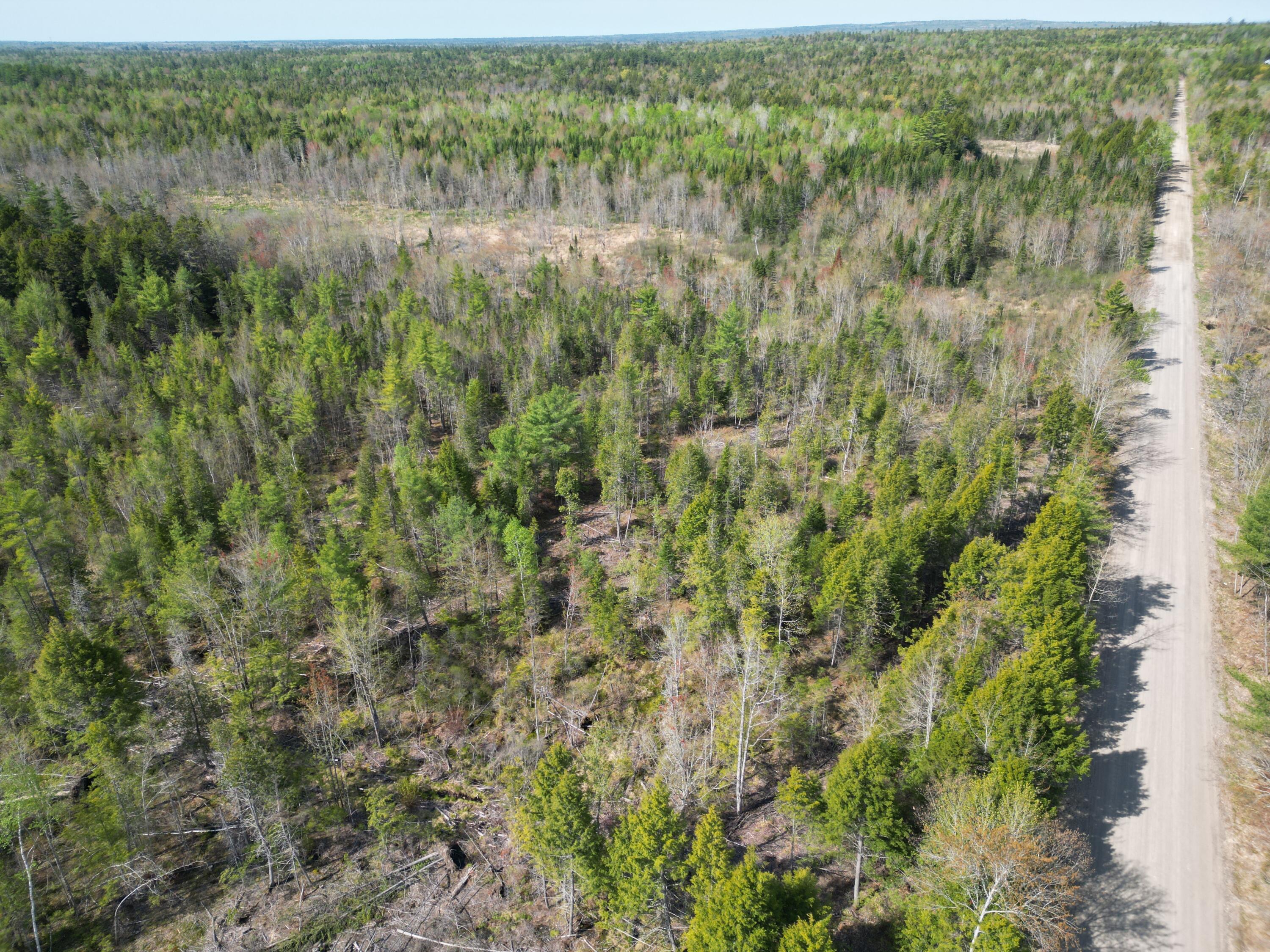 Lot 1 Mattamiscontis Road Howland, ME 04448 - Photo 11 of 15 DJI_0519