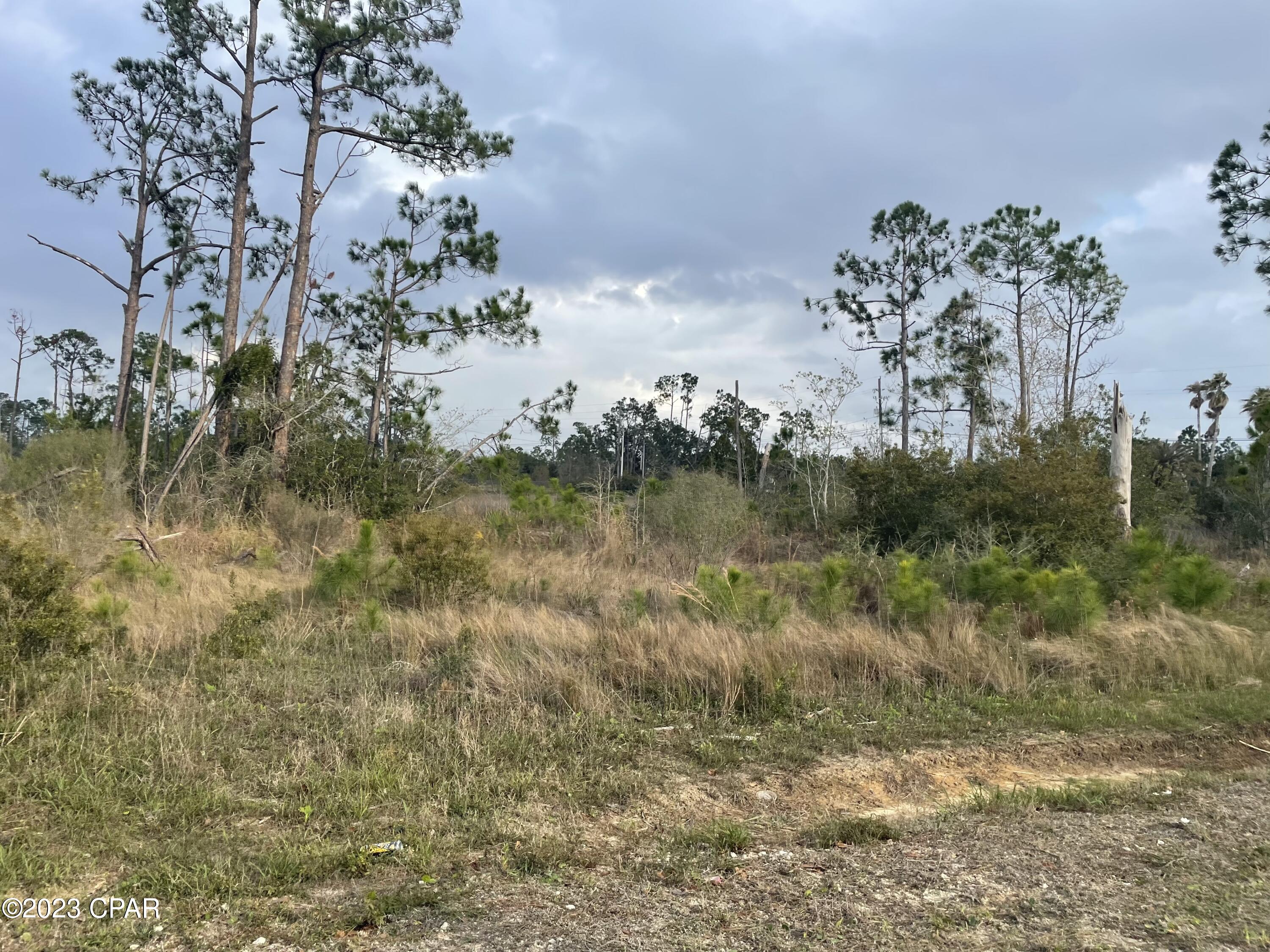 0 West Smith Road Southport, FL 32409 - Photo 3 of 9