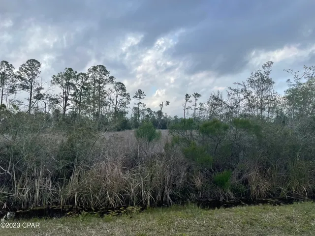 $159,900 | 0 West Smith Road, Southport, FL 32409
