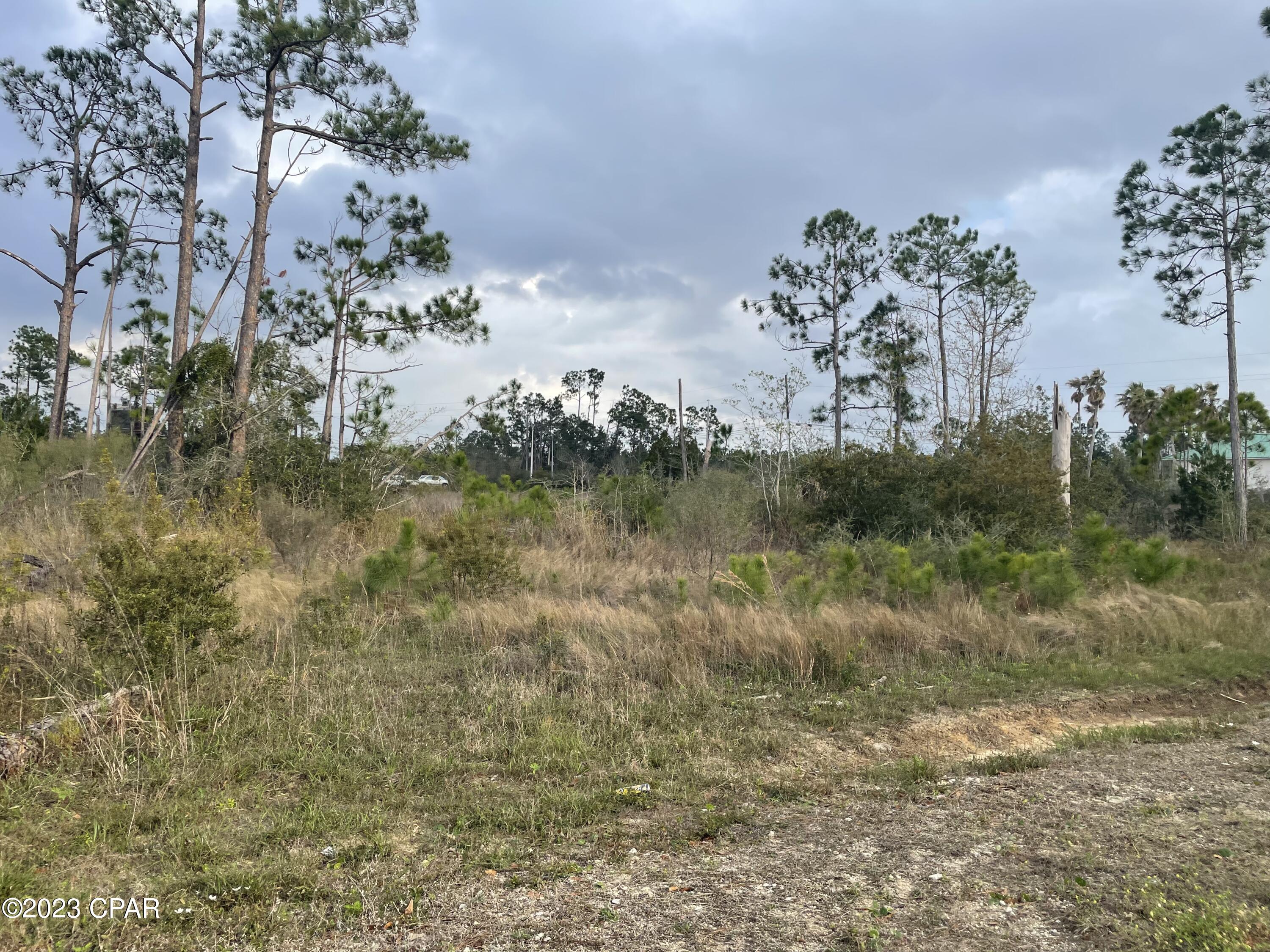 0 West Smith Road Southport, FL 32409 - Photo 5 of 9