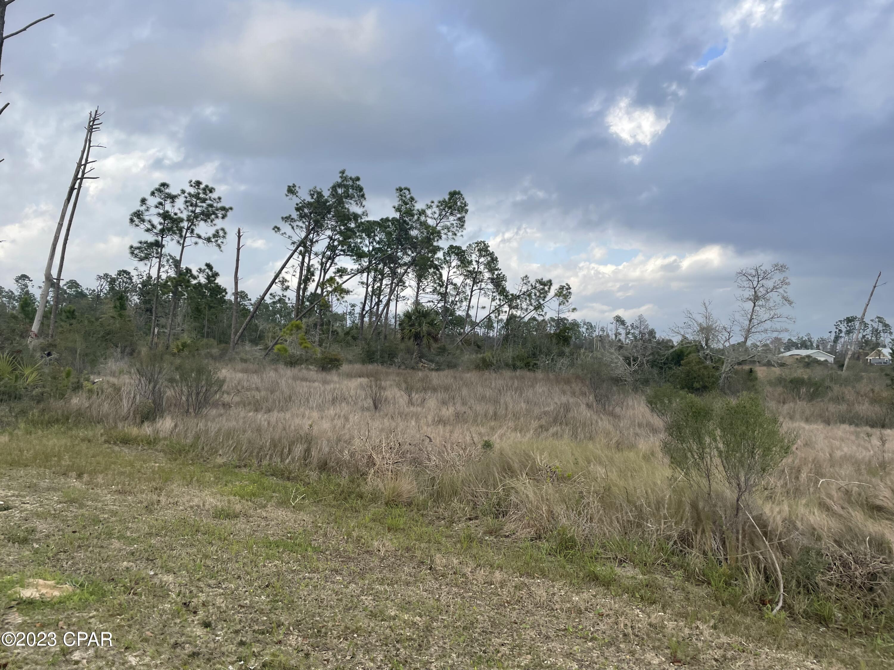 0 West Smith Road Southport, FL 32409 - Photo 6 of 9