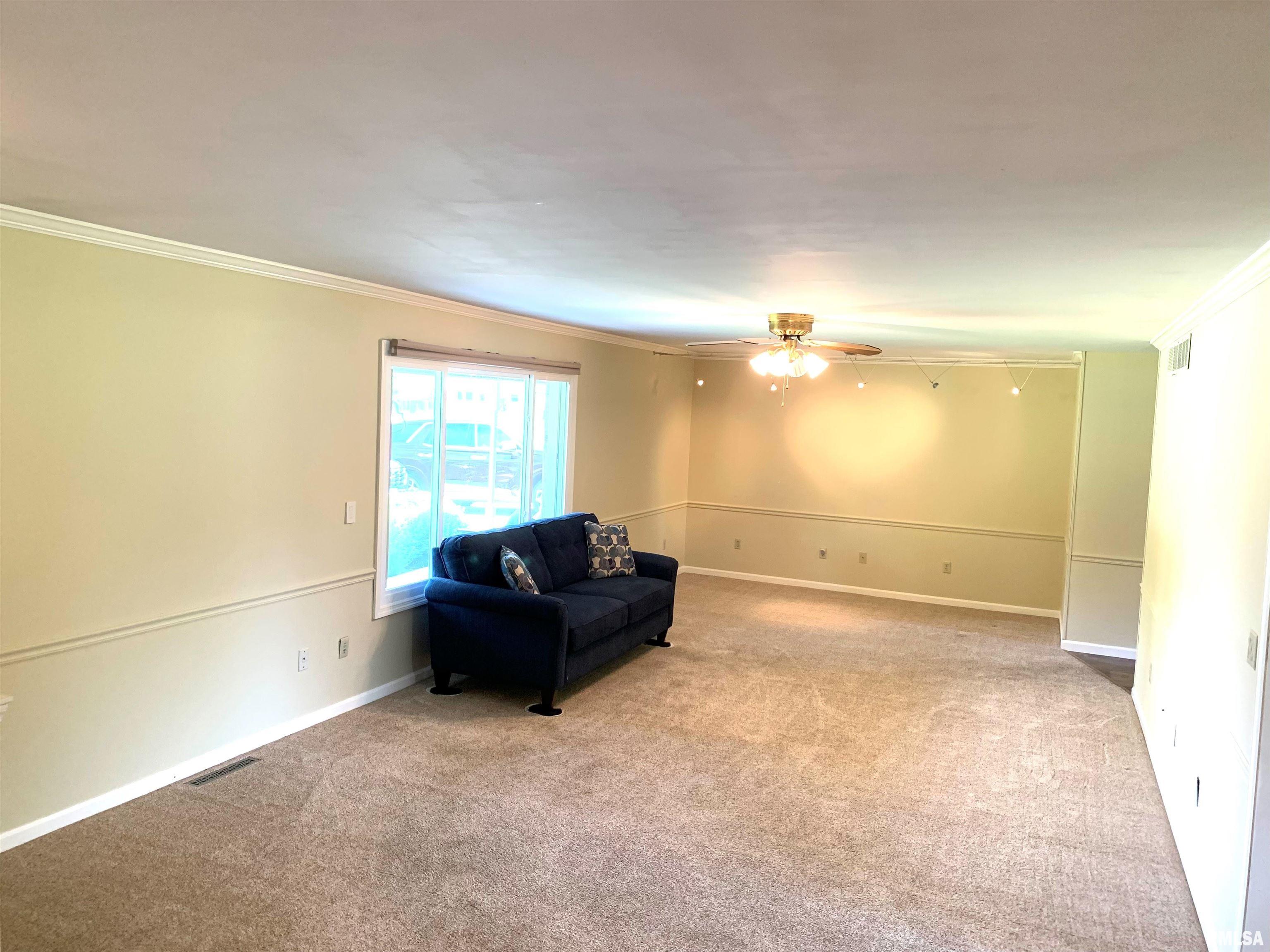 120 Roanoke Drive Rochester, IL 62563 - Photo 10 of 33 Gallery Image 10