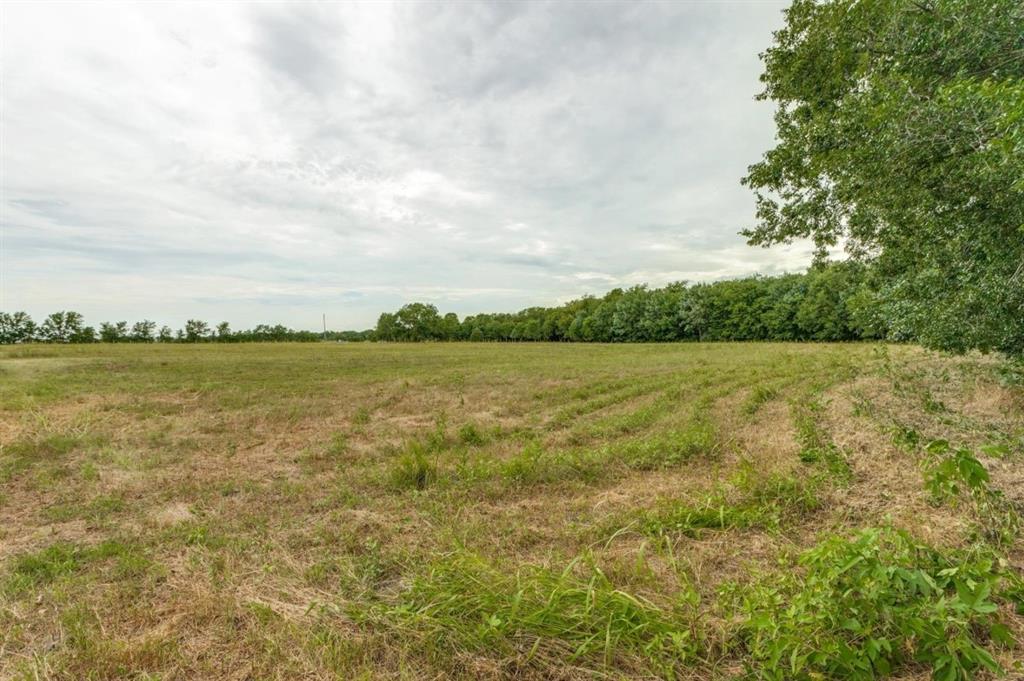 3805 County Road Wolfe City, TX 75496 - Photo 7 of 13 Expansive open field with natural vegetation and a distant tree line