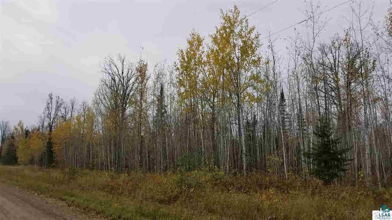 76530 Kaukamo Road Iron River, WI 54847 - Photo 15 of 19