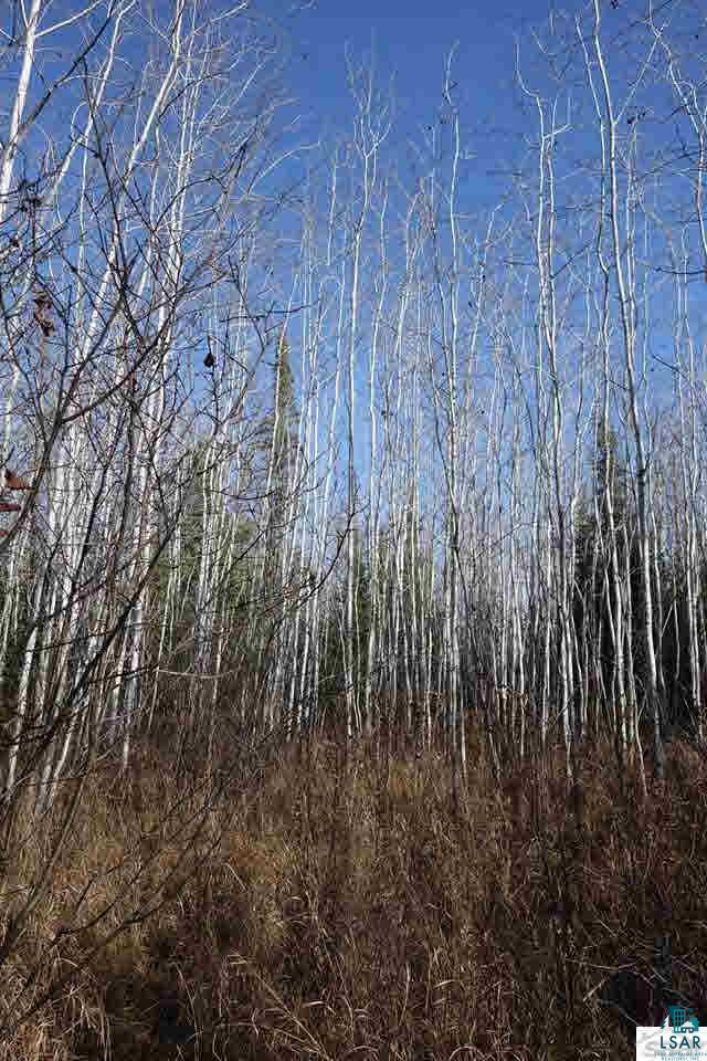 76530 Kaukamo Road Iron River, WI 54847 - Photo 18 of 19