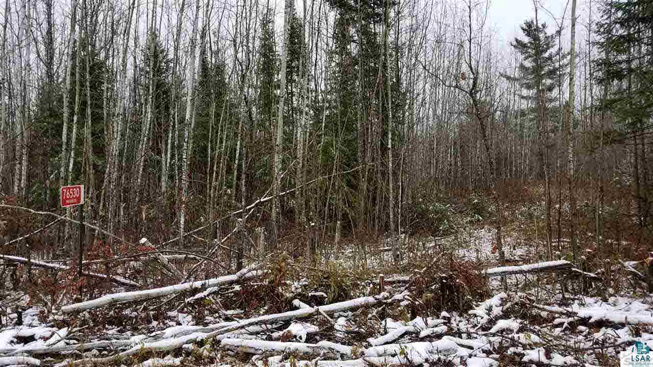 76530 Kaukamo Road Iron River, WI 54847 - Photo 5 of 19