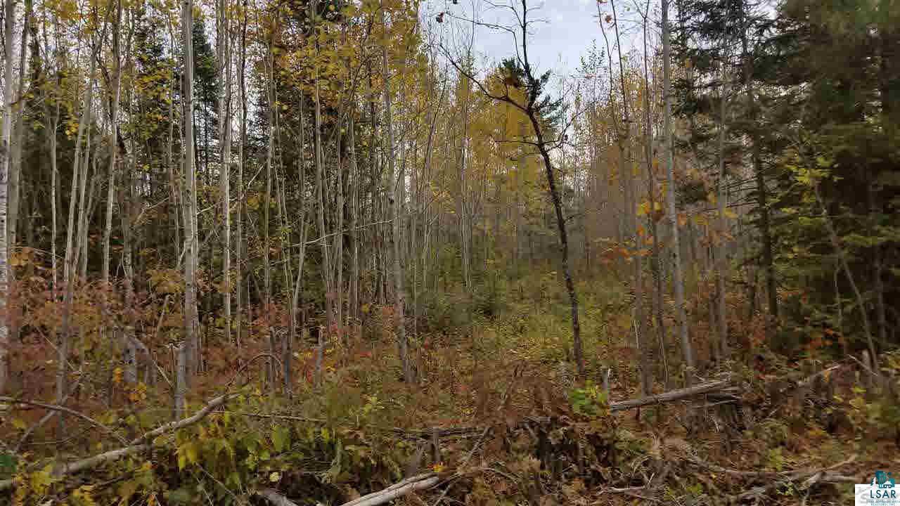 76530 Kaukamo Road Iron River, WI 54847 - Photo 6 of 19