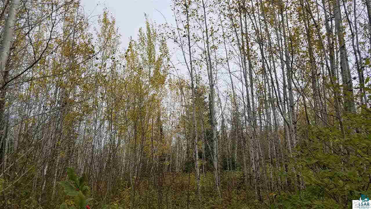 76530 Kaukamo Road Iron River, WI 54847 - Photo 9 of 19