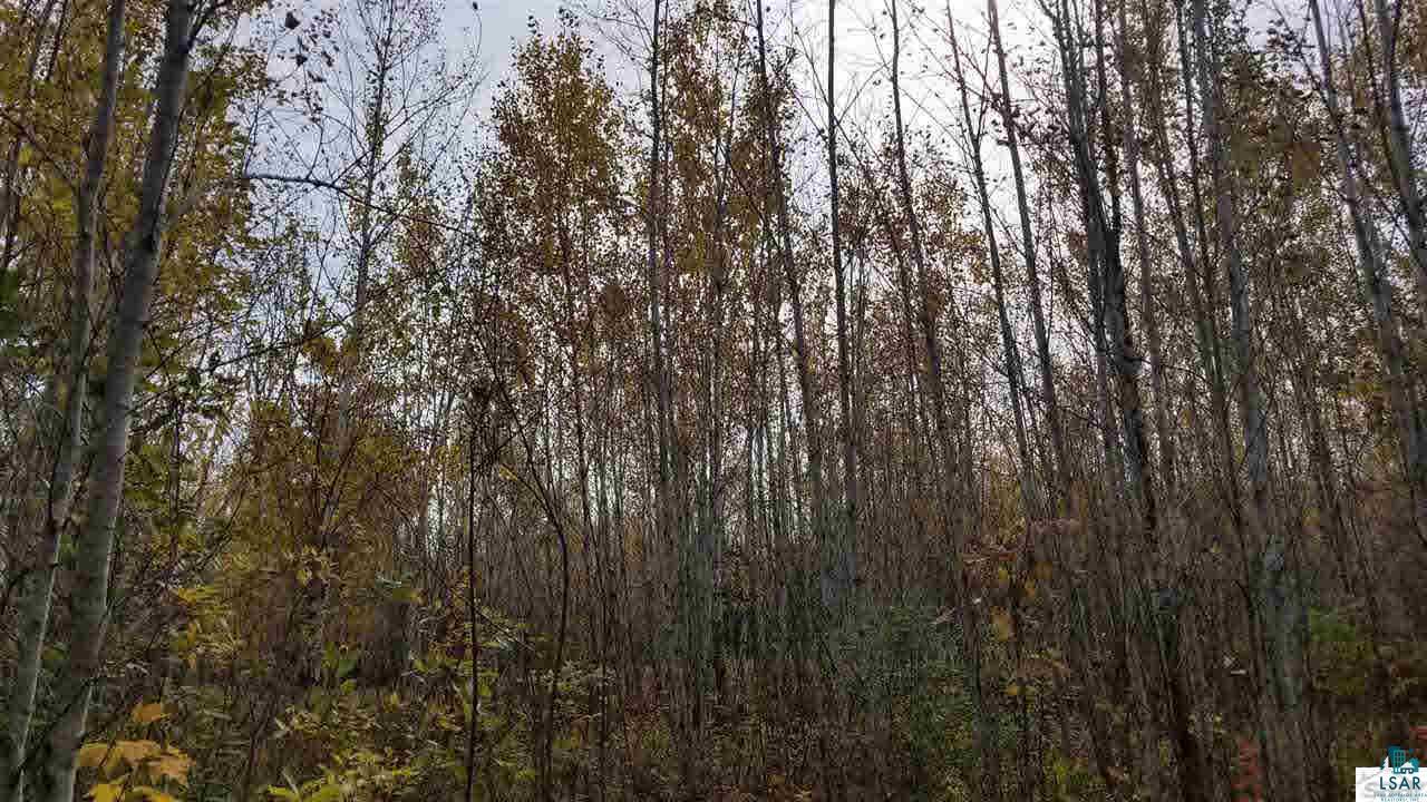 76530 Kaukamo Road Iron River, WI 54847 - Photo 10 of 19