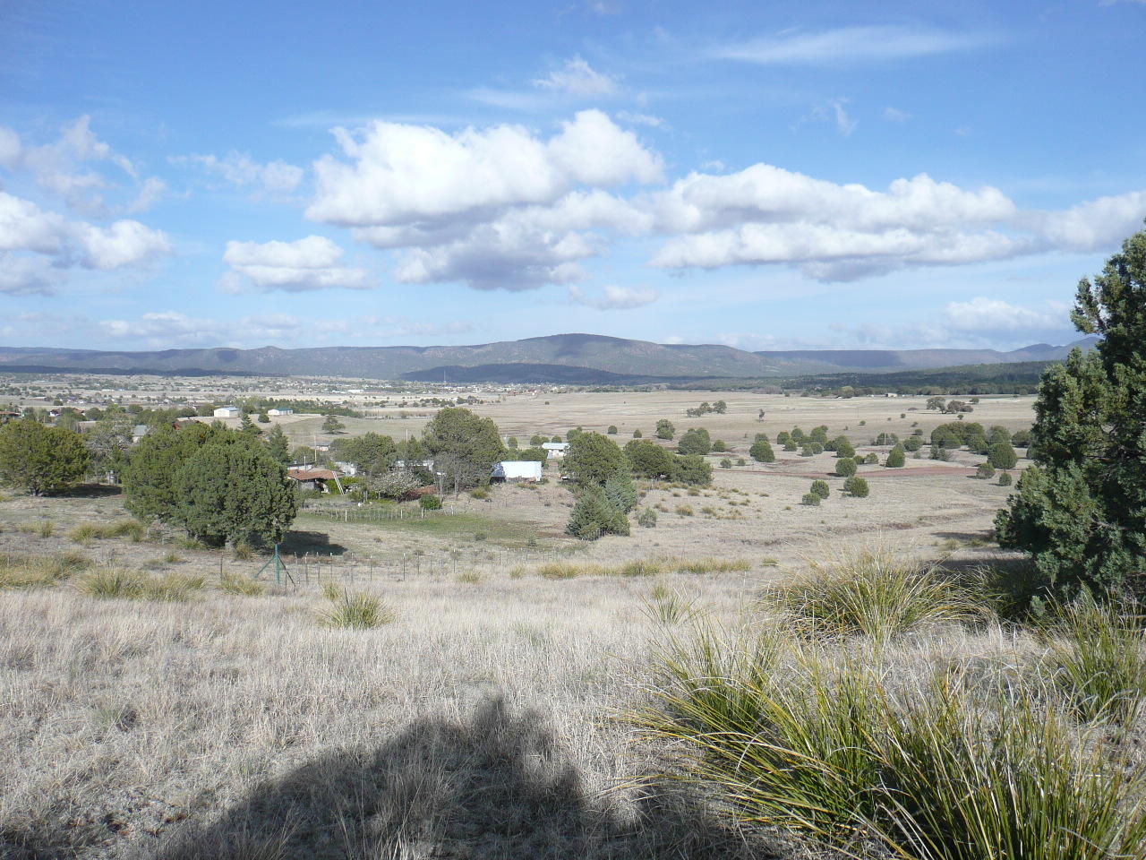 478 Rolling Hills Road Young, AZ 85554 - Photo 2 of 20