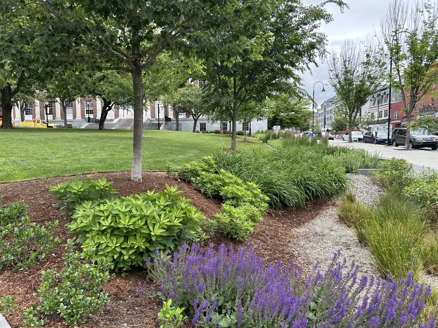 131 Main Street, Unit 210 Burlington, VT 05401 - Photo 21 of 24