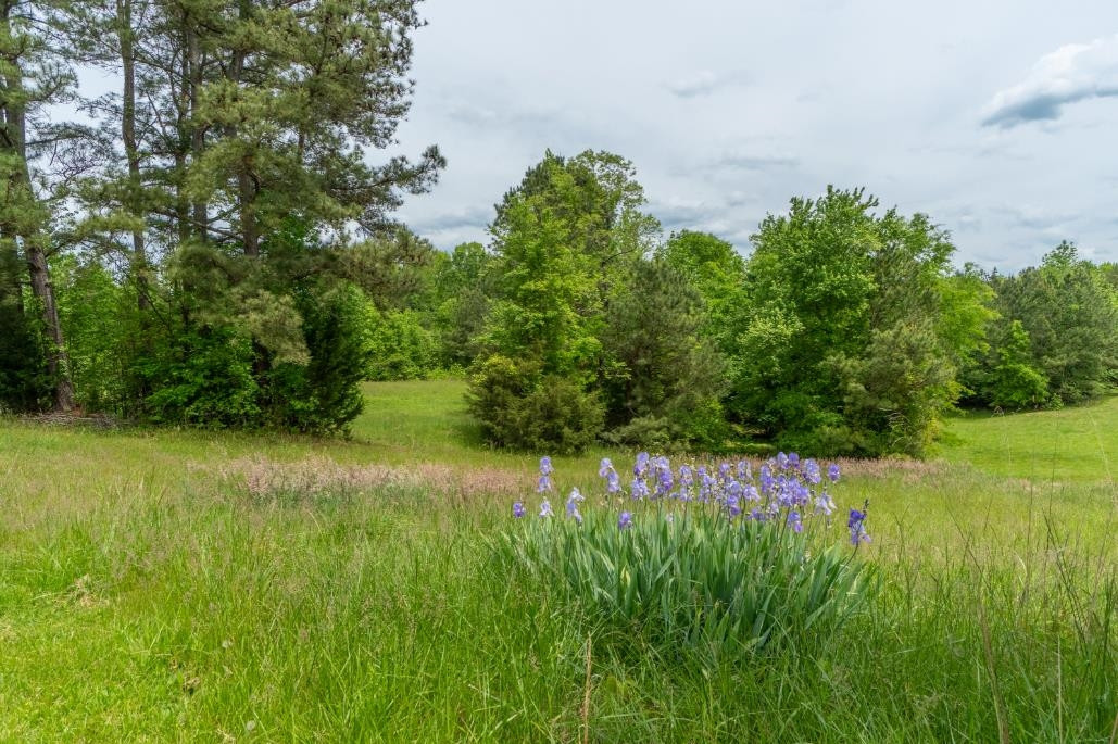 7810 Wiley Mangum Road Bahama, NC 27503 - Photo 4 of 52 Flora
