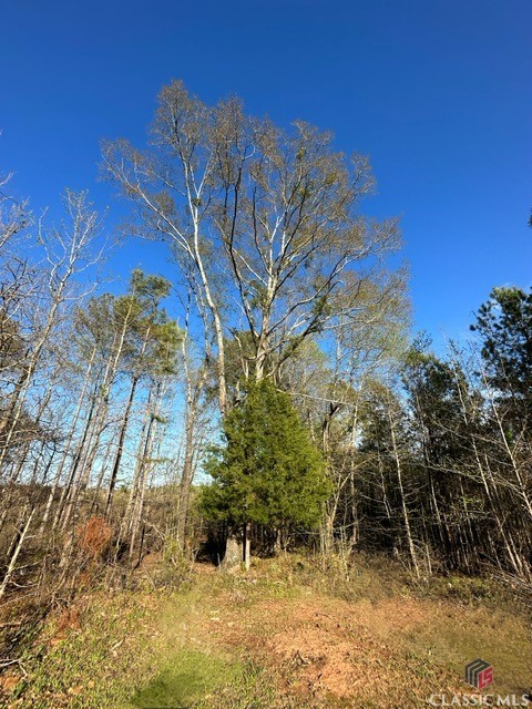 1 Dora Bush Hill Road McRae-Helena, GA 31037 - Photo 26 of 32