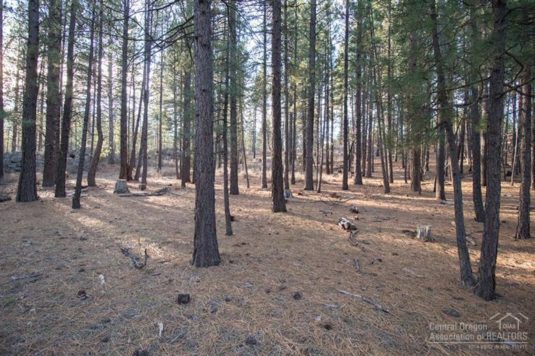 16804 Covina Road Bend, OR 97707 - Photo 3 of 16 a view of outdoor space with deck and trees