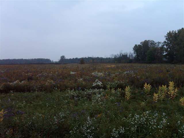 This is view 4 of the property.