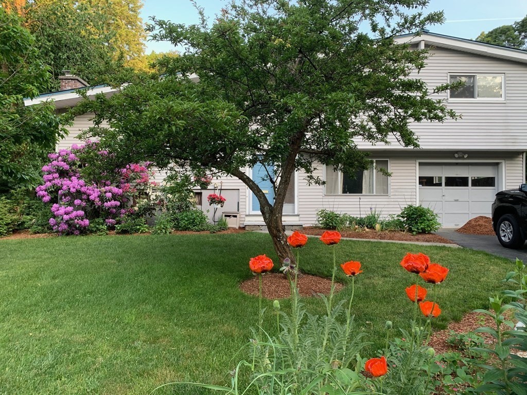 a front view of a house with yard