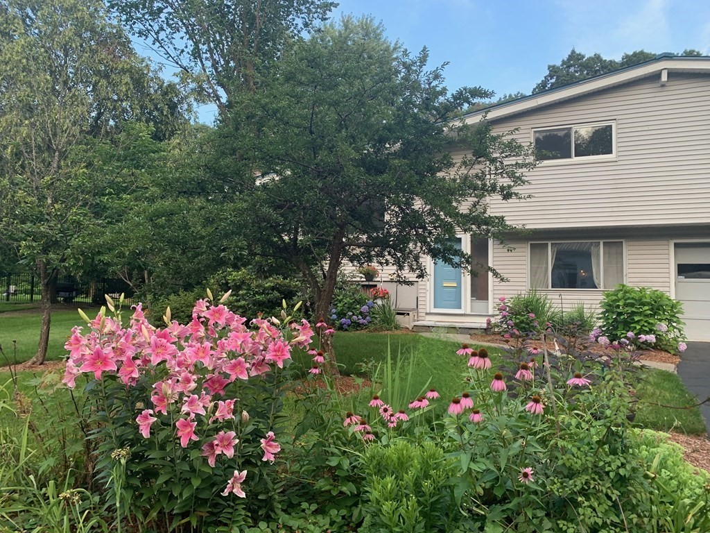 67 Joyce Road Framingham, MA 01701 - Photo 3 of 32 a small garden covered with flower plants