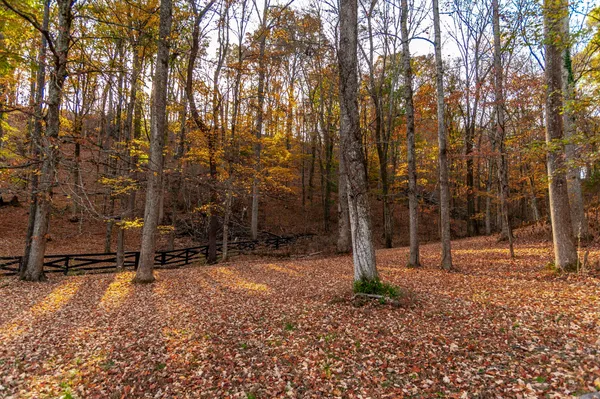 $2,199,900 | 407 Hogans Branch Road, Goodlettsville, TN 37072