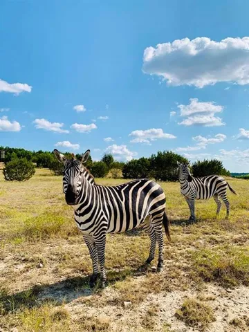 $9,500,000 | 6101 County Road 208, Lampasas, TX 76550