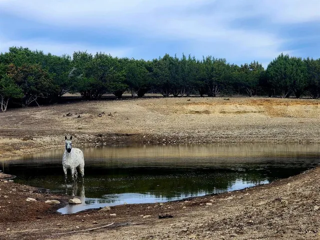 $9,500,000 | 6101 County Road 208, Lampasas, TX 76550