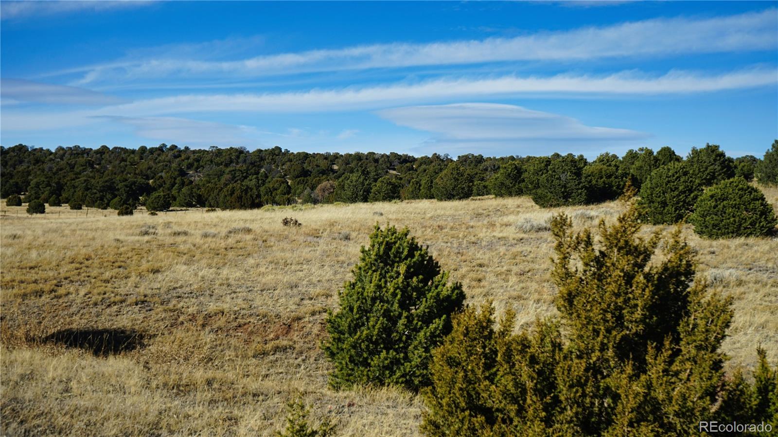 37 Navajo Ranch, Unit 4 Walsenburg, CO 81089 - Photo 10 of 20