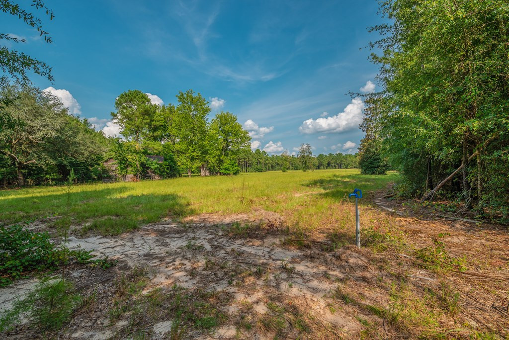 241 Voyager Road Salley, SC 29137 - Photo 25 of 31