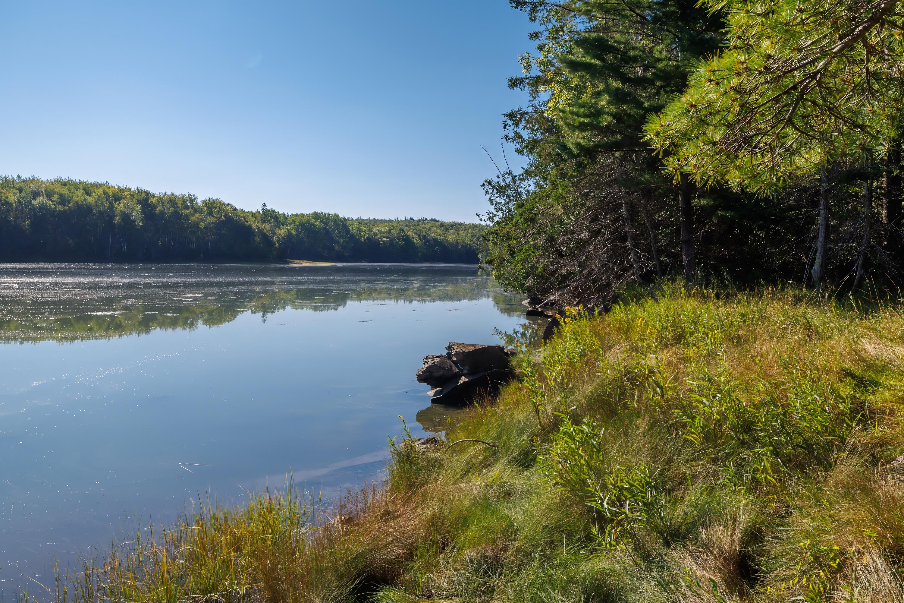 Lot 12 Straight Bay Road Lubec, ME 04652 - Photo 4 of 42 2- Lot 12-B Straight Bay Road HiRes-DTP