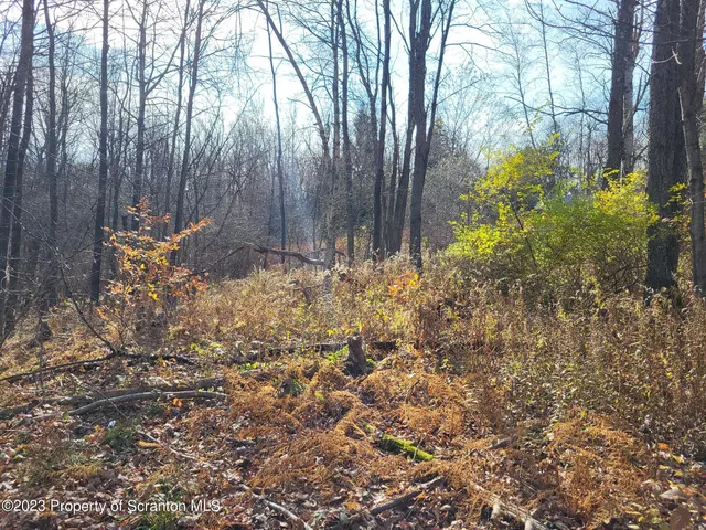 $85,000 | 500-block Clinton Street, Vandling, PA 18421