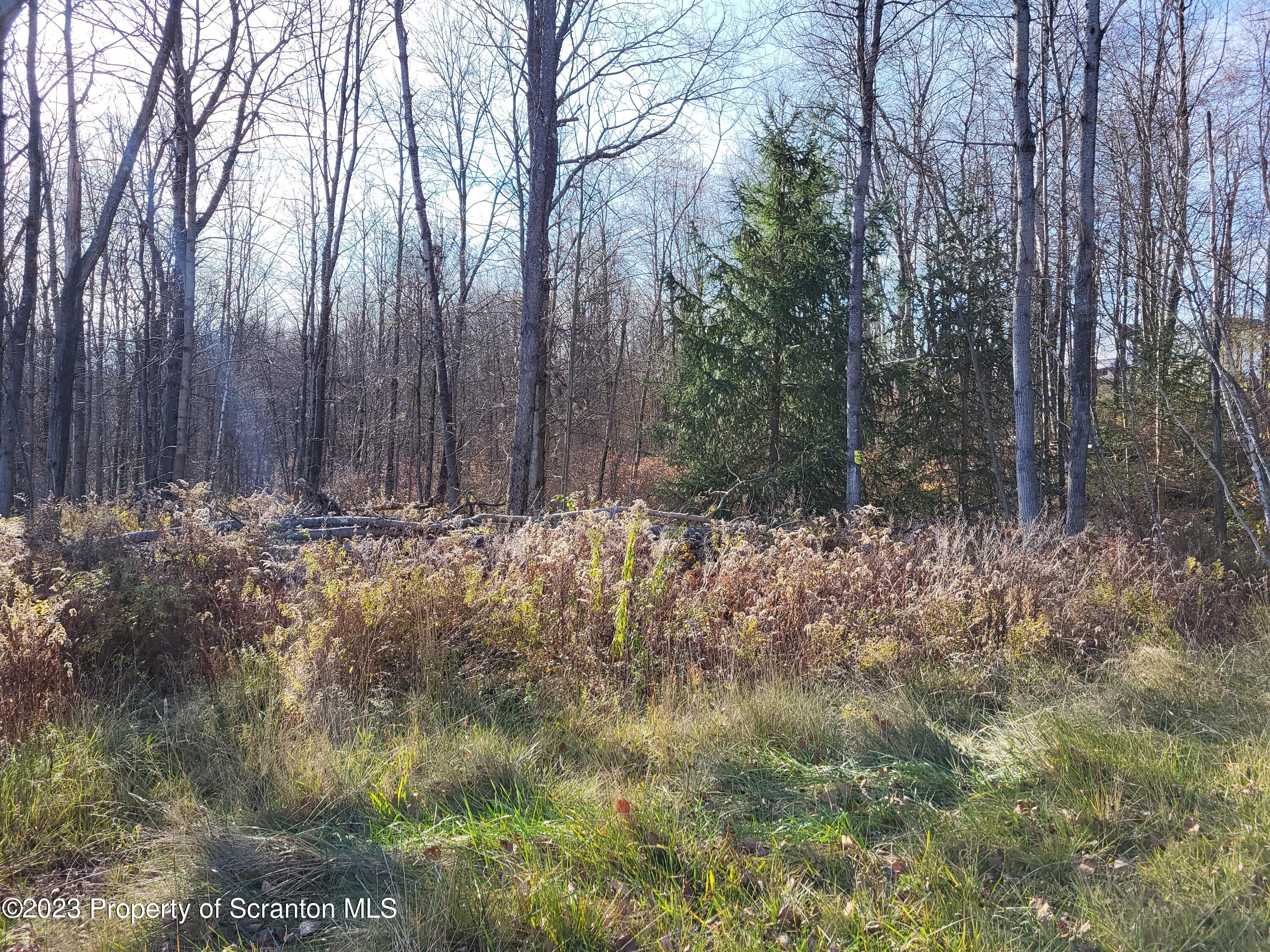 500-block Clinton Street Vandling, PA 18421 - Photo 13 of 14